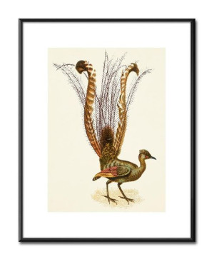  Obraz do wnętrz w stylu Wild Nature 21x26cm