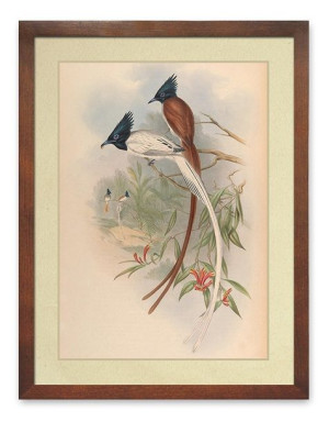  Obraz do wnętrz w stylu Wild Nature 33x43cm