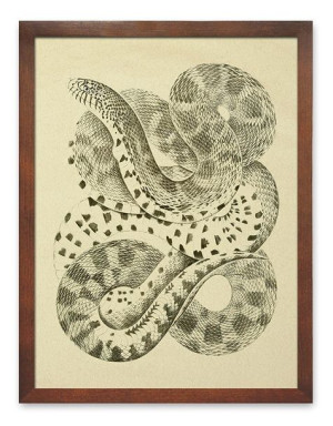  Obraz do wnętrz w stylu Wild Nature 33x43cm