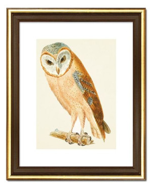  Obraz do wnętrz w stylu Wild Nature 23x28 cm