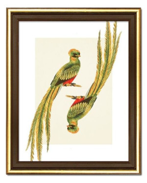  Obraz do wnętrz w stylu Wild Nature 23x28 cm