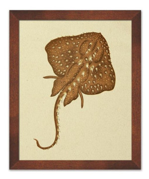  Obraz do wnętrz w stylu Wild Nature 23x28 cm