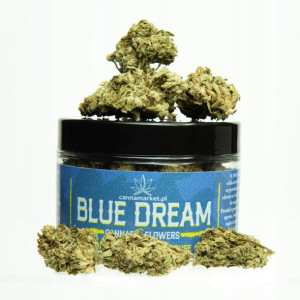 Susz konopny CBD Blue Dream 20g (ŚREDNIE TOPY)