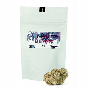 Susz konopny CBD Blueberry 1g