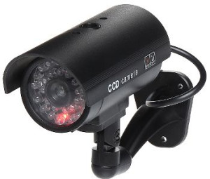 Kamera Atrapa Acc-102b/led/z