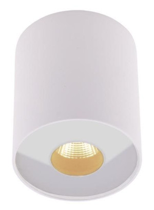 Spot LAMPA sufitowa PLAZMA C0152 Maxlight metalowa OPRAWA okrągła tuba LED