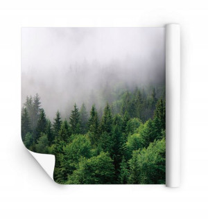 Fototapeta NA WYMIAR 3D Do Kuchni Łazienki TAPETA DEKORACYJNA | MAX WYBÓR