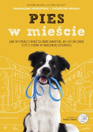 Pies w mieście. Jak wypracować dobre nawyki, by spokojnie żyć z psem w miej