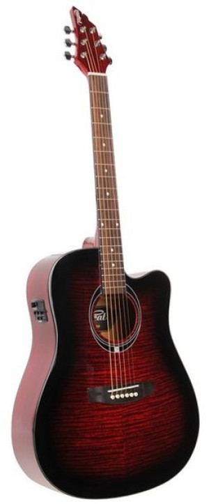 Flycat C100 Trd Ceq Gitara Elektroakustyczna