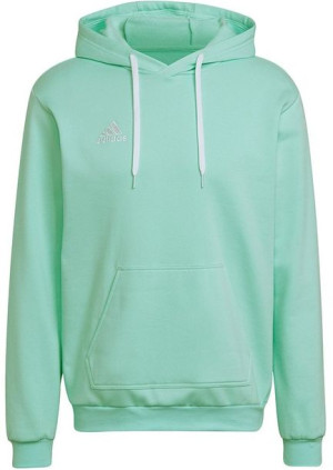 Bluza męska adidas Entrada 22 Hoody miętowa HC5081