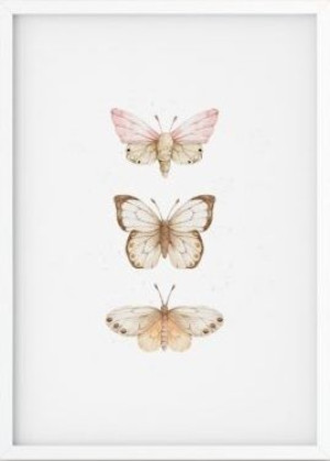 Plakat Meadow Motyle A4