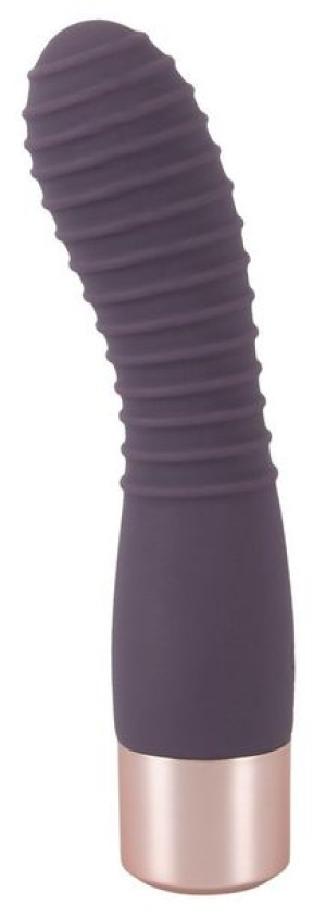 Elegant Vibrator Flexy Vibe 13-8487