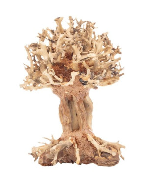 Progrow Bonsai Tree Bt7xs 10x10x15cm