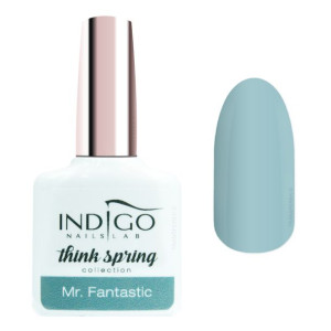 Indigo Lakier Hybrydowy Mr. Fantastic 7Ml