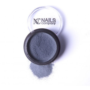 Nails Company Nowy Pyłek Frozen 06 Dust
