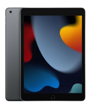 Apple iPad 10.2 A13 Wi-Fi 64GB Gwiezdna Szarość
