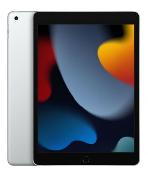 Apple iPad 10.2 A13 Wi-Fi 256GB Srebrny