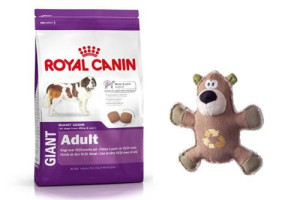 ROYAL CANIN Giant Adult 15kg karma sucha dla psów dorosłych, od 18/24 miesi