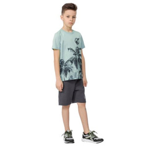 T-shirt chłopięcy 4F HJL22 JTSM013 niebieska