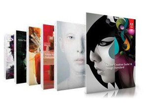 Adobe Design Standard Cs6 Eng Win Box/ Licencja Wieczysta