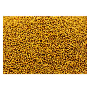 Pellet do metody RK Baits Białe Wino 2mm 10kg