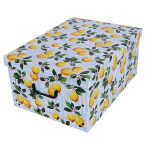 Pudełko kartonowe 51x37x24 MAXI OWOCE CYTRYNA