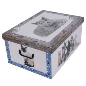 Pudełko kartonowe 51x37x24 MAXI KOTKI POPIELATE NIEBIESKA RAMKA