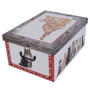 Pudełko kartonowe 51x37x24 MAXI KOTKI RUDE CZERWONA RAMKA