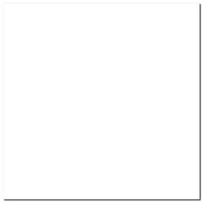 Płytka gres WHITE SILK 60x60 cm