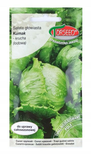 Sałata Lodowa Krucha Głowiasta KUMAK Nasiona