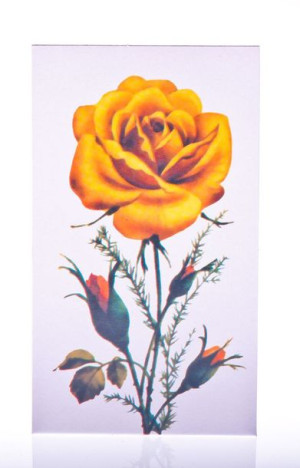 Igły do szycia ręcznego zestaw ROSE