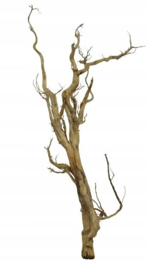 Korzeń Red Moor Tree DO AKWARIUM 80x35x20cm .1146