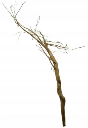 Korzeń Red Moor Tree DO AKWARIUM 105x50x5cm.1202