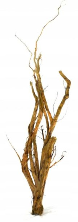 Korzeń Red Moor Tree DO AKWARIUM 100x40x15cm.1018