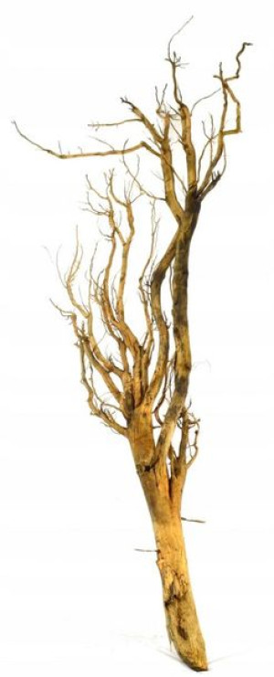 Korzeń Red Moor Tree DO AKWARIUM 110x30x15cm.1021