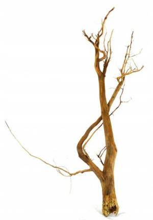 Korzeń Red Moor Tree DO AKWARIUM 90x40x15cm.1024