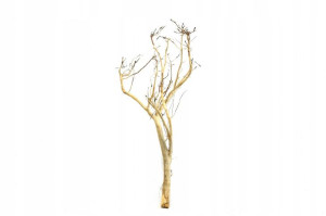 Korzeń Red Moor Tree DO AKWARIUM 80x30x30cm.1063