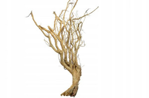 Korzeń Red Moor Tree DO AKWARIUM 155x70x35cm.1081