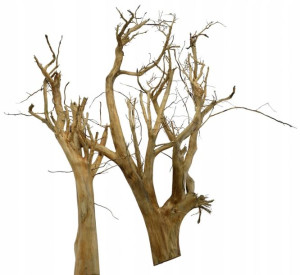 Korzeń Red Moor Tree DO AKWARIUM 120x120x35cm.1104