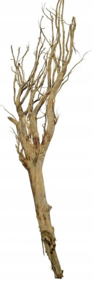 Korzeń Red Moor Tree DO AKWARIUM 150x40x10cm.1105