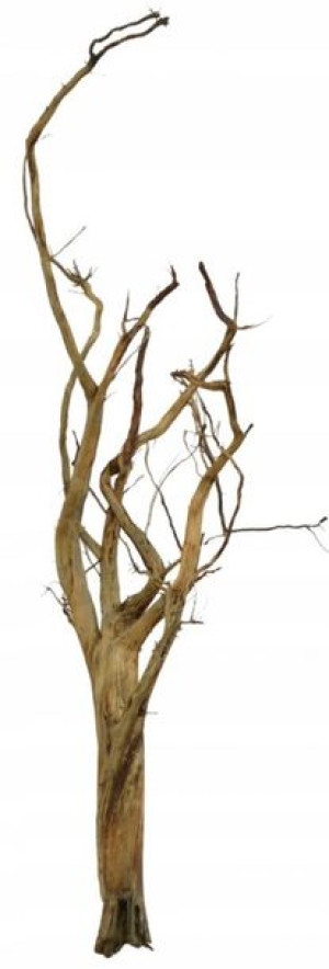 Korzeń Red Moor Tree DO AKWARIUM 80x25x20cm .1109