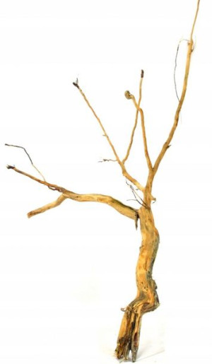 Korzeń Red Moor Tree DO AKWARIUM 150x100x15cm.1005