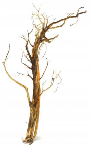 Korzeń Red Moor Tree DO AKWARIUM 100x50x40cm.1012