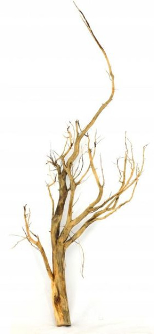 Korzeń Red Moor Tree DO AKWARIUM 100x40x15cm.1014