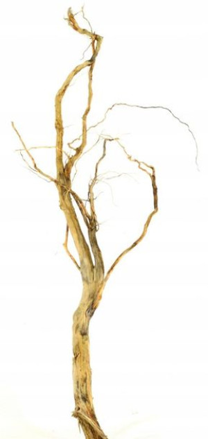 Korzeń Red Moor Tree DO AKWARIUM 110x30x15cm.1015