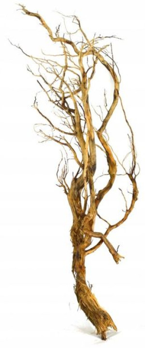 Korzeń Red Moor Tree DO AKWARIUM 100x40x15cm.1019