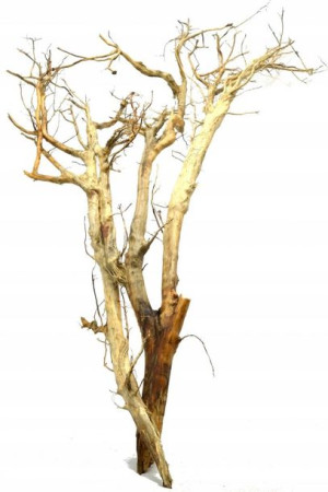 Korzeń Red Moor Tree DO AKWARIUM 150x80x30cm.1043