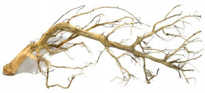 Korzeń Red Moor Tree DO AKWARIUM 100x60x35cm.1060