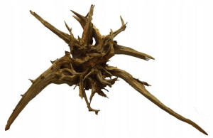 KORZEŃ DO AKWARIUM Old Pine Wood 138x114x55 .165