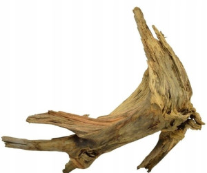 KORZEŃ DO AKWARIUM Old Pine Wood 50x45x25 .1240